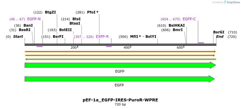 495835_map