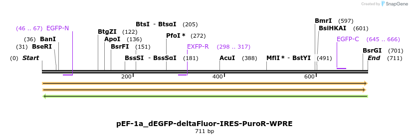 495837_map