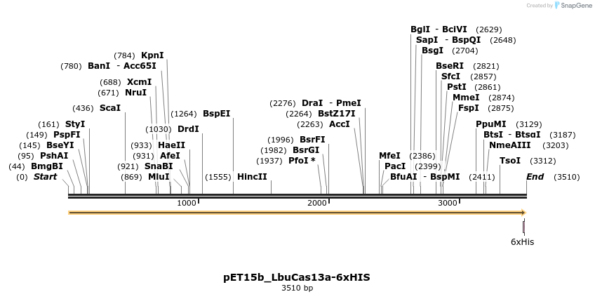 495839_map
