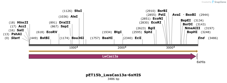 495841_map