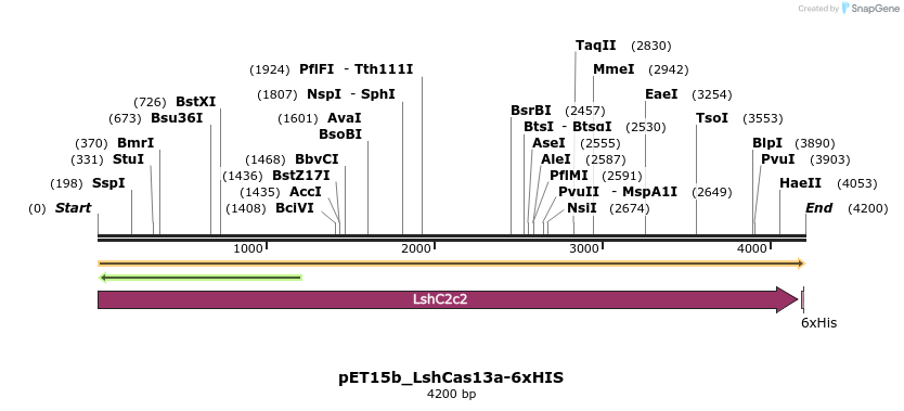 495843_map