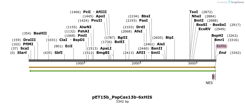 495845_map