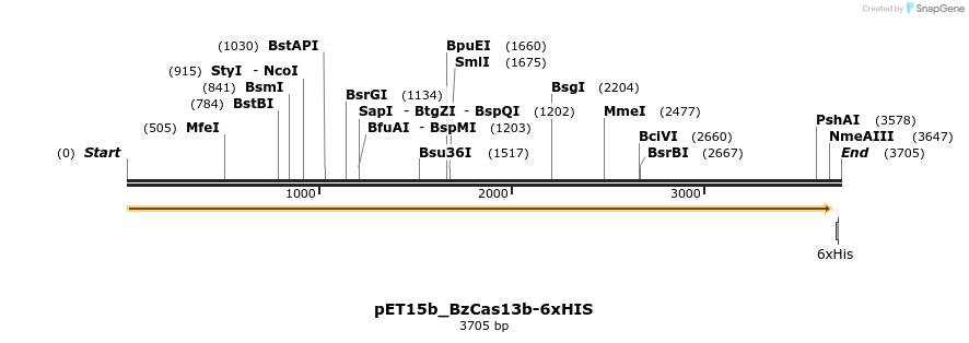 495847_map