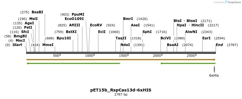 495849_map