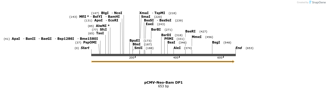 49586_map