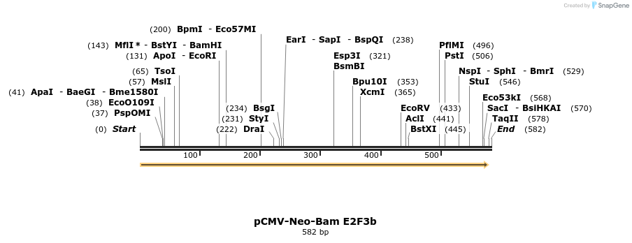49588_map