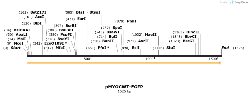 49590_map