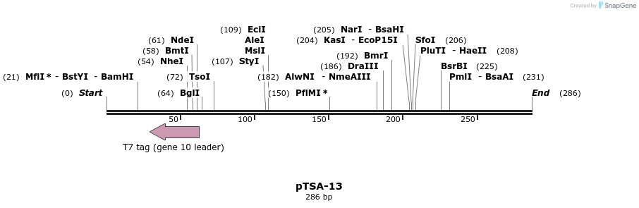 49591_map