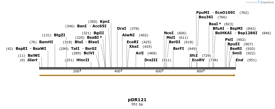 49592_map