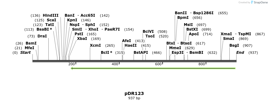 49593_map