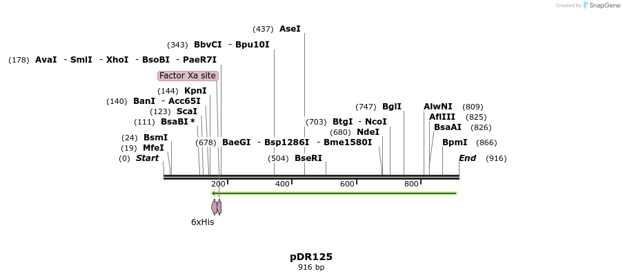 49595_map