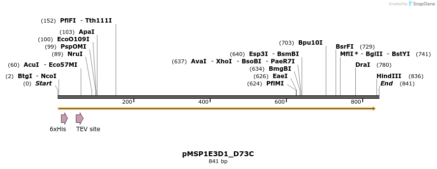 49598_map
