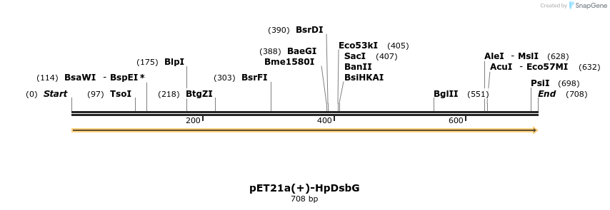 49601_map