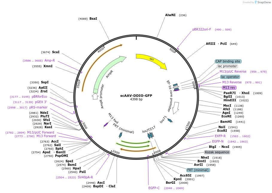 496015_map