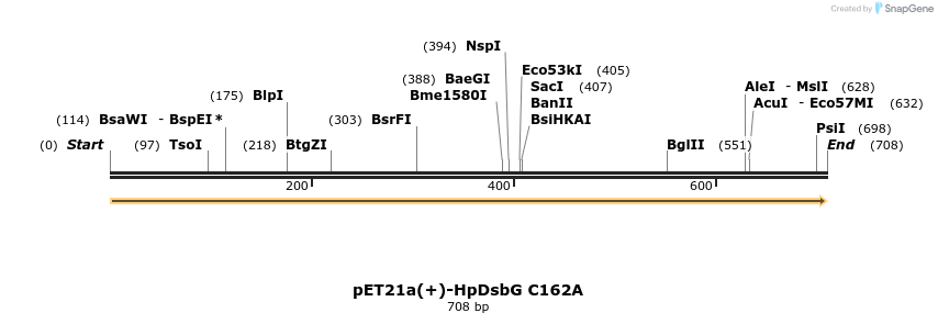 49602_map