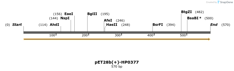 49605_map