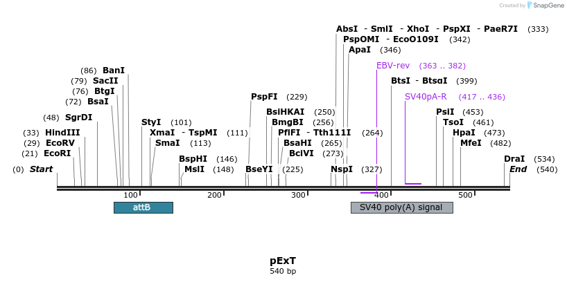49610_map