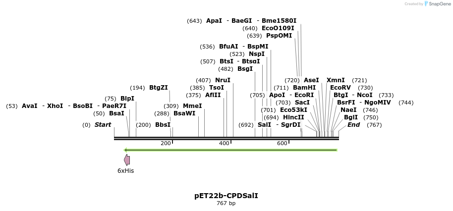 49618_map