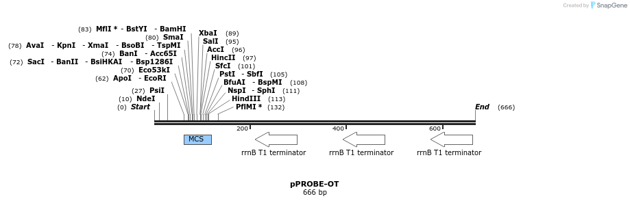 49620_map