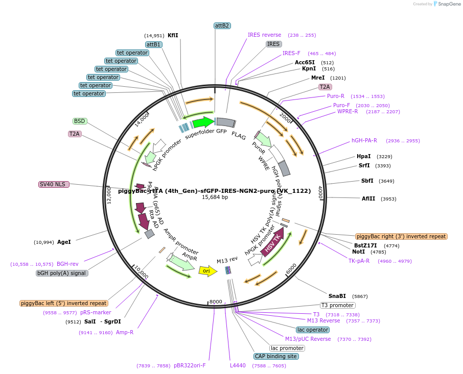 496201_map