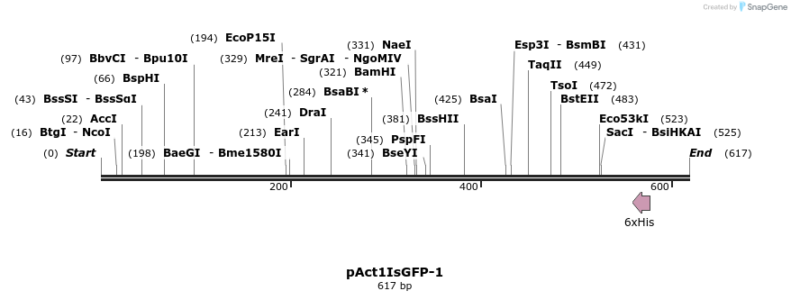 49625_map
