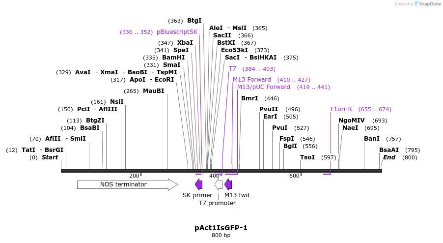 49627_map
