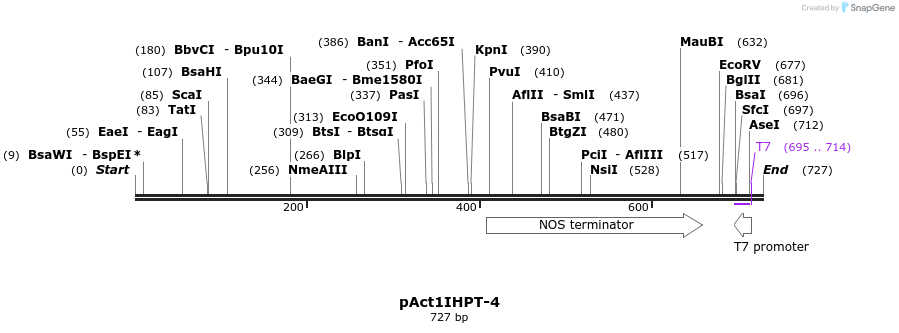 49628_map