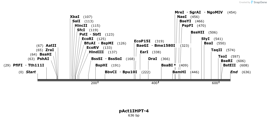 49631_map