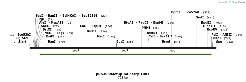 49643_map