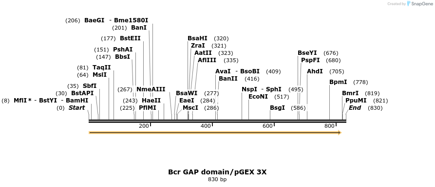 49644_map