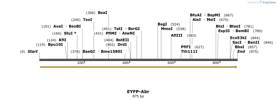 49646_map