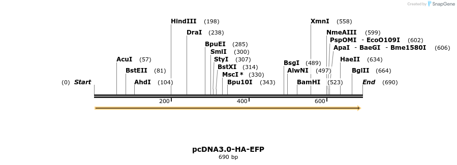 49650_map