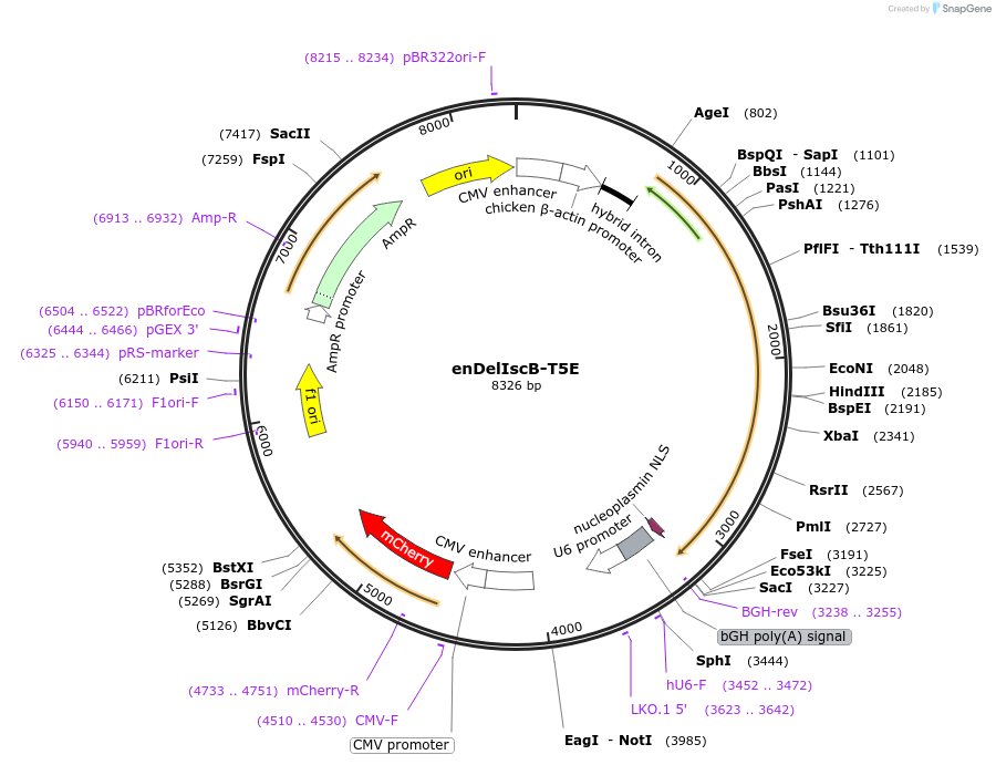 496504_map