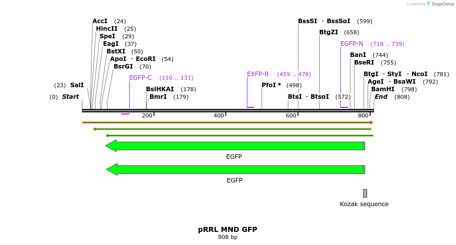 49652_map