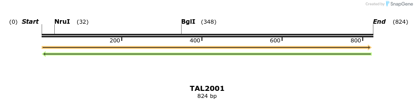 49661_map