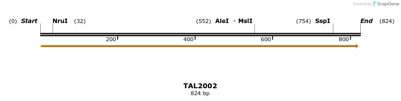 49662_map