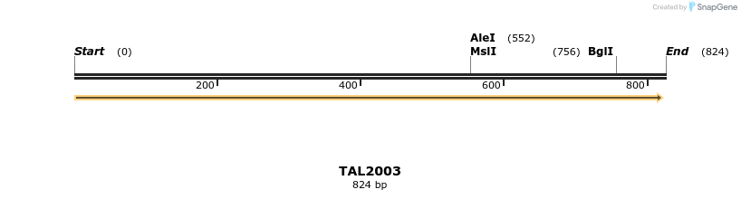 49663_map