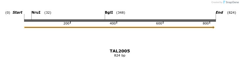 49665_map