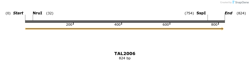 49666_map