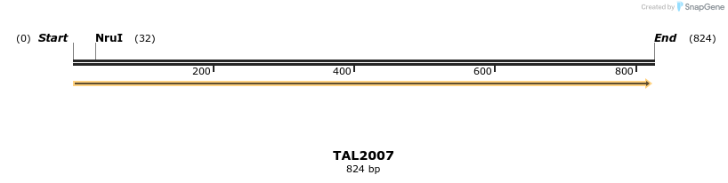 49667_map