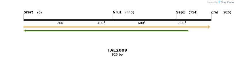 49669_map