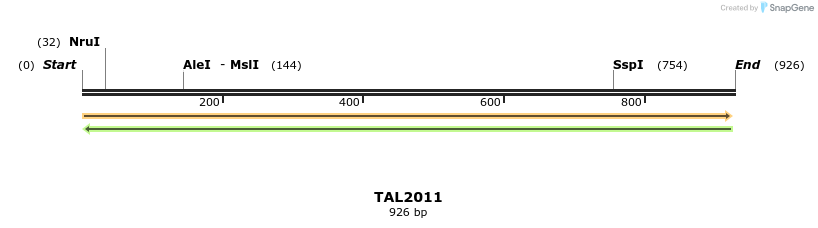 49671_map
