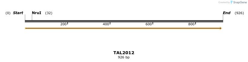 49672_map