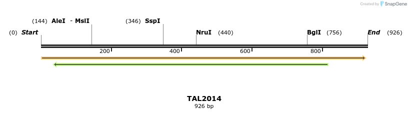 49674_map