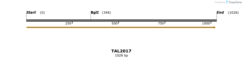 49677_map