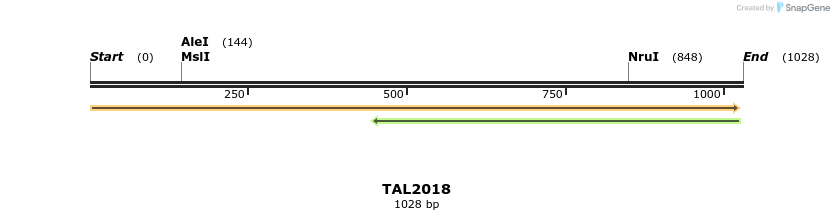 49678_map