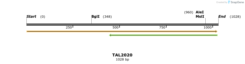 49680_map