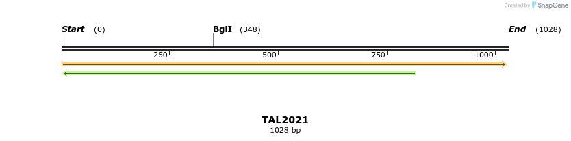49681_map