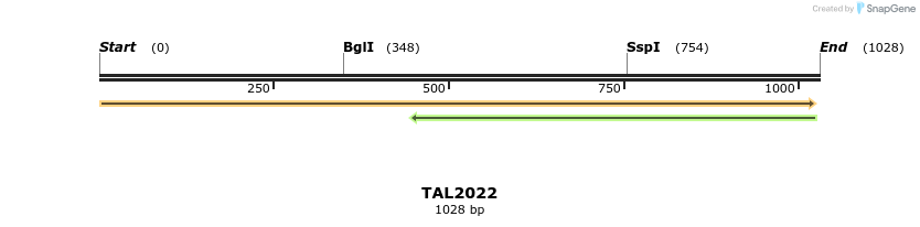 49682_map