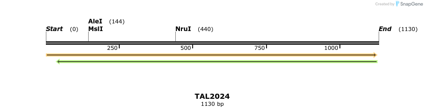 49684_map